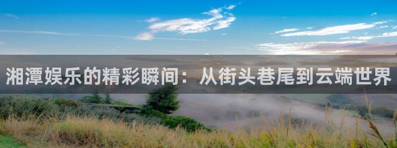 万向娱乐app