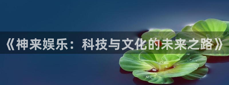 万向娱乐app