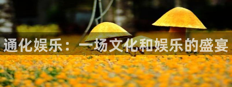 万向娱乐app
