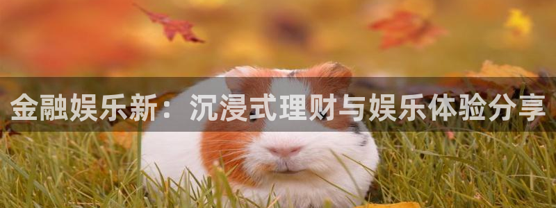 万向娱乐